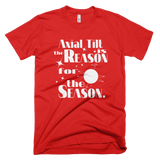 Axial Tilt is the Reason for the Season t shirt